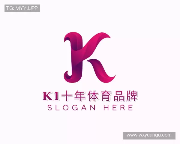 认识k1十年体育品牌